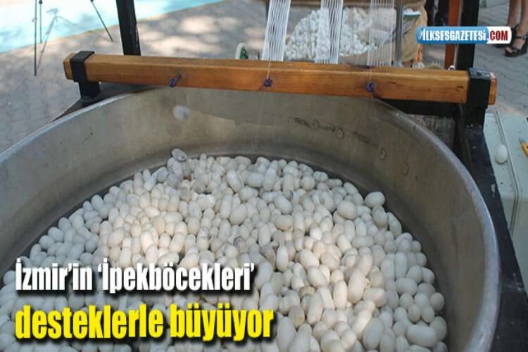 İzmir’in ‘İpekböcekleri’ desteklerle büyüyor haberinin görseli