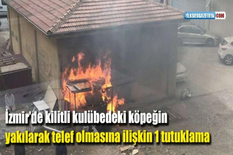 İzmir’de kilitli kulübedeki köpeğin yakılarak telef olmasına ilişkin 1 tutuklama haberinin görseli