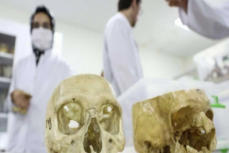 TAKAD: Kadavra ihtiyacı hala ciddi bir sorun! haberinin görseli