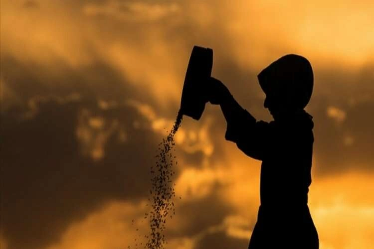 Tarım ve Orman Bakanlığından 3,6 milyon kadın çiftçiye eğitim haberinin görseli