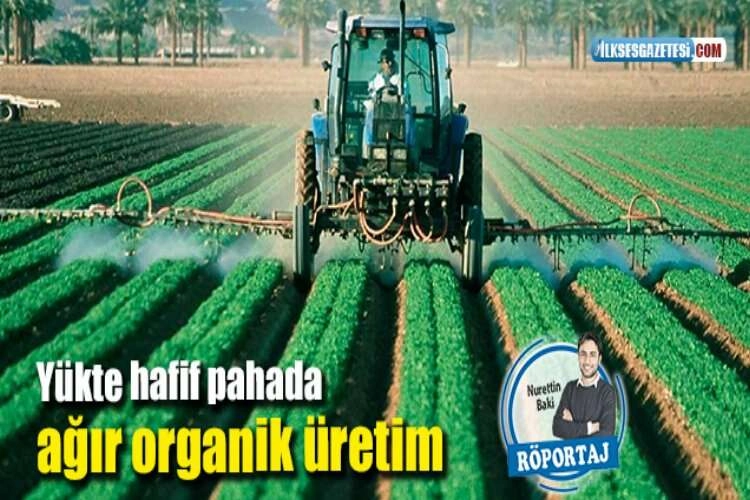 Yükte hafif pahada ağır organik üretim haberinin görseli
