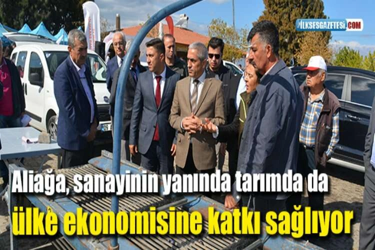 Aliağa, sanayinin yanında tarımda da ülke ekonomisine katkı sağlıyor haberinin görseli