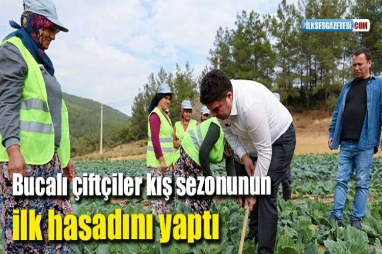 Bucalı çiftçiler kış sezonunun ilk hasadını yaptı haberinin görseli