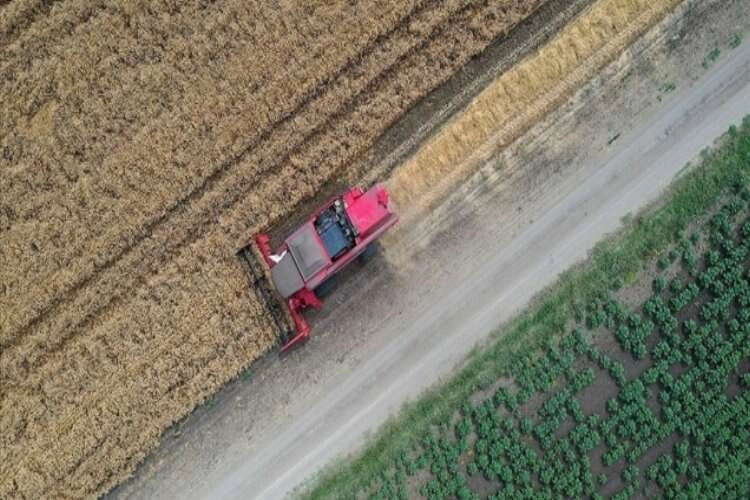 Çiftçi Kayıt Sistemi'ndeki kadın çiftçi sayısı 290 bine yaklaştı haberinin görseli