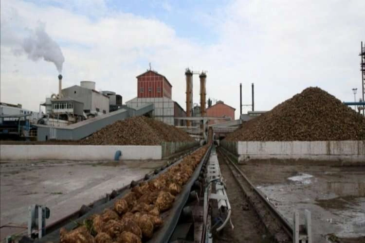 Kayseri Şeker 6 ildeki pancar sahasından 3 milyon tonun üzerinde rekolte bekliyor haberinin görseli