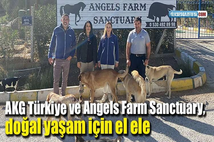 AKG Türkiye ve Angels Farm Sanctuary, doğal yaşam için el ele haberinin görseli