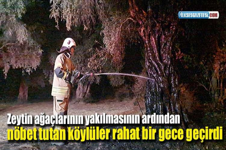 Zeytin ağaçlarının yakılmasının ardından nöbet tutan köylüler rahat bir gece geçirdi haberinin görseli