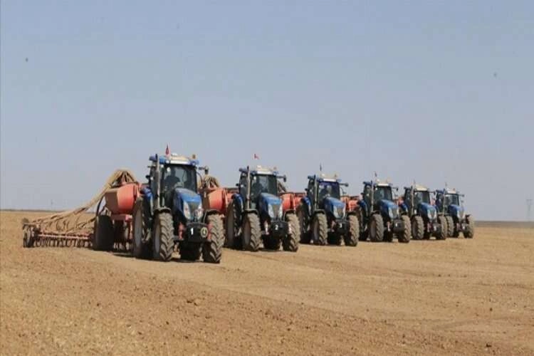Türkiye'nin en büyük tarım işletmesinde buğday tohumları toprakla buluşuyor haberinin görseli
