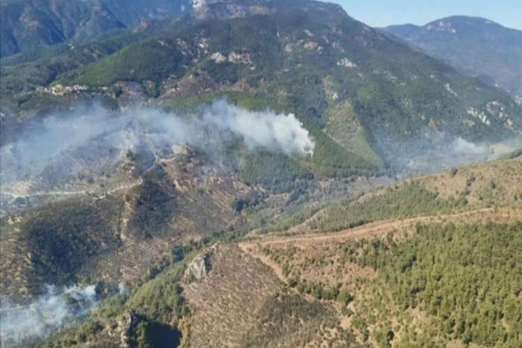 Kazdağları'nda çıkan orman yangını kontrol altına alındı haberinin görseli