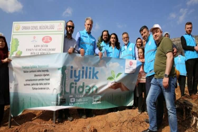 TDV yanan ormanlık alanı yeşertmek için 11 bin fidan dikti haberinin görseli