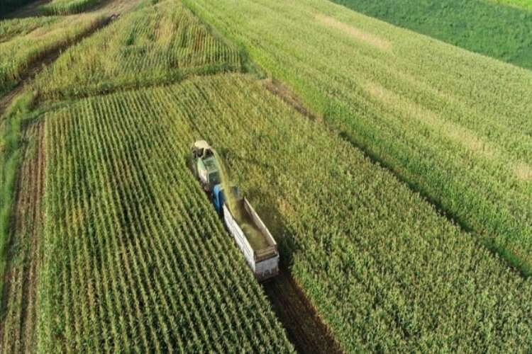 Kırsal kalkınma için 20 yılda 30,2 milyar liralık destekle 508 bin kişilik istihdam sağlandı