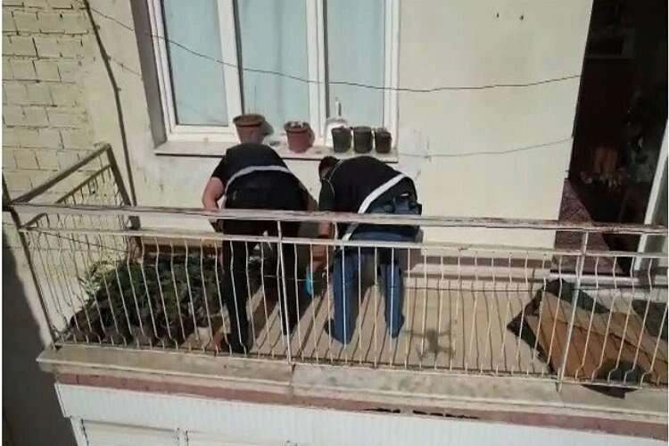 Evinin balkonunda saksıda kenevir yetiştiren kişi yakalandı haberinin görseli