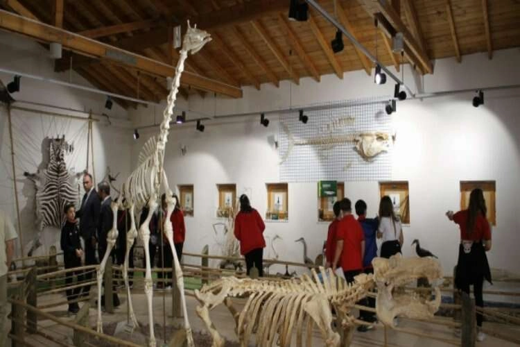 Sınav’dan atık kartalı! haberinin görseli