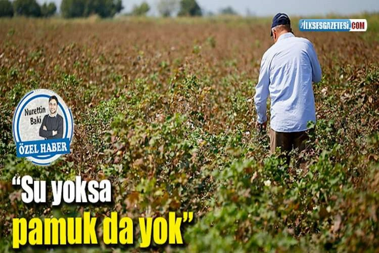 “Su yoksa pamuk da yok”