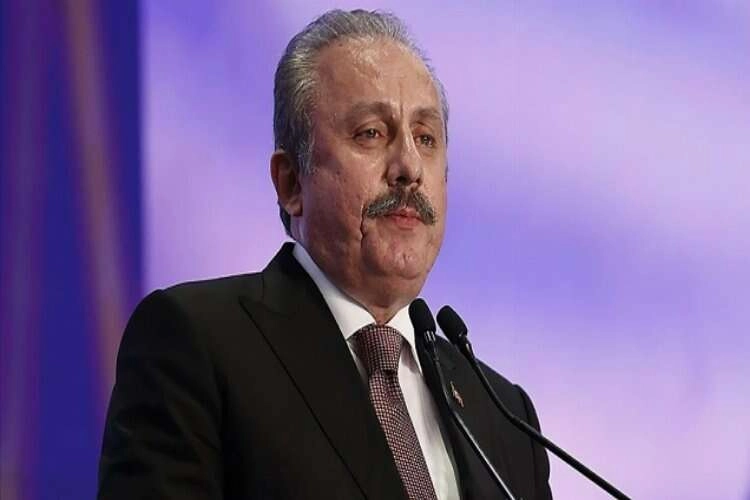 TBMM Başkanı Şentop'tan, şehit askerler için başsağlığı mesajı haberinin görseli