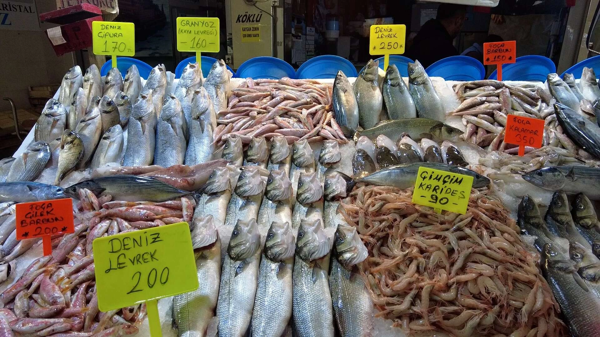 Balık fiyatları yarı yarıya düştü