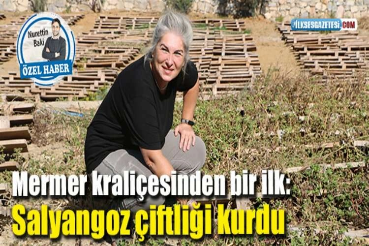 Mermer kraliçesinden bir ilk: Salyangoz çiftliği kurdu haberinin görseli