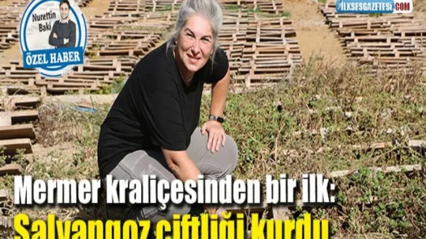 Mermer kraliçesinden bir ilk: Salyangoz çiftliği kurdu