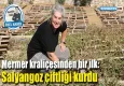 Mermer kraliçesinden bir ilk: Salyangoz çiftliği kurdu