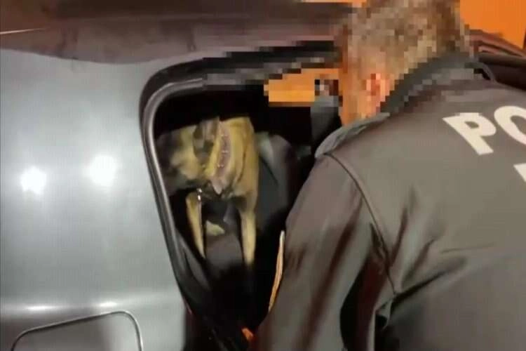 İzmir’deki uyuşturucu operasyonunda 3 tutuklama haberinin görseli