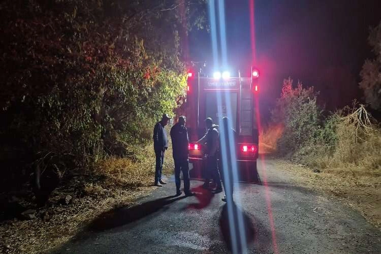 Tire’de esrarengiz yangınlar yeniden başladı haberinin görseli