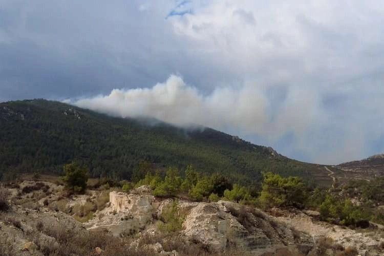 İzmir'de iki ilçede orman yangını