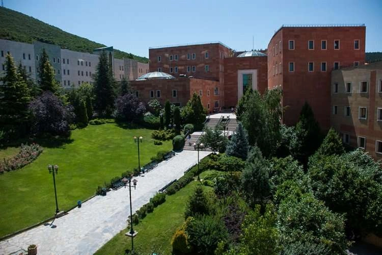 Yeditepe Üniversitesi Öğretim Üyesi alıyor