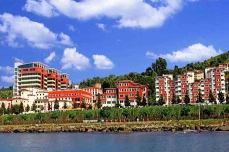 Recep Tayyip Erdoğan Üniversitesi 43 Öğretim Üyesi alıyor haberinin görseli