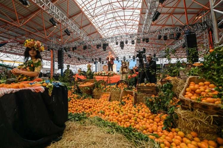 Seferihisar’da mandalina şenliği renkli anlara sahne oldu haberinin görseli
