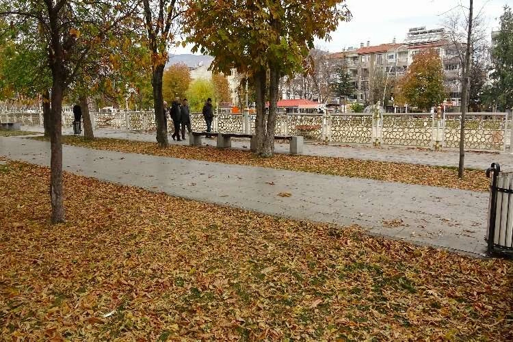 O ilde sonbahar yapraklarının süpürülmesi yasaklandı