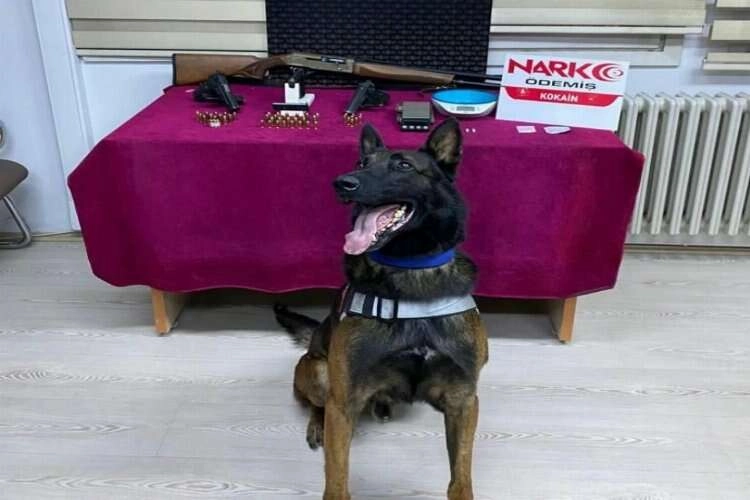 Eğlence mekanındaki uyuşturucu madde ticaretine baskın, 3 gözaltı haberinin görseli