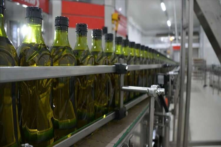 Türkiye'nin zeytinyağı ihracatı yüzde 50 arttı haberinin görseli