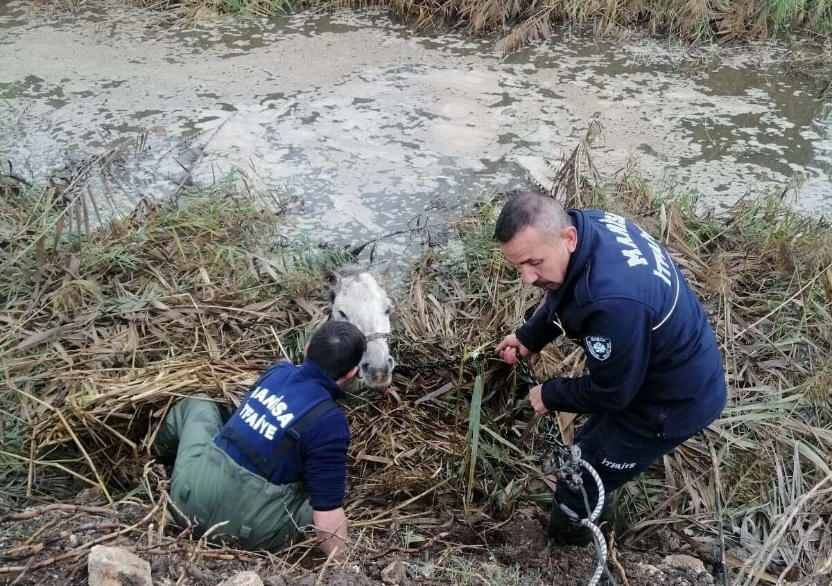 Dereye düşen atı itfaiye kurtardı