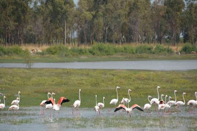 Sağlıklı bir kış için aktardan öneriler