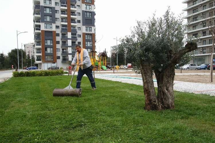 Bayraklı’nın yeşil oranı her yıl artıyor haberinin görseli