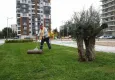 Bayraklı’nın yeşil oranı her yıl artıyor