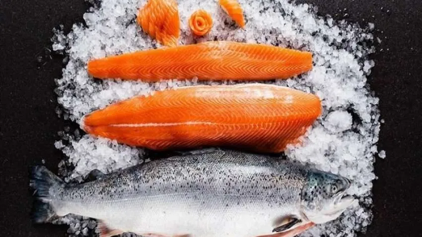 Karadeniz'den 11 ayda 125,9 milyon dolarlık Türk somonu ihraç edildi