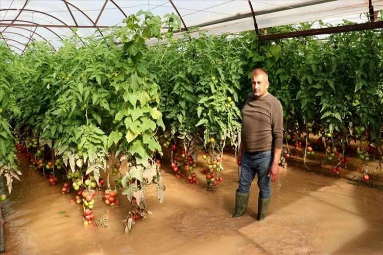 Kumluca'da selden zarar gören domates üreticileri yaşadıklarını anlattı haberinin görseli