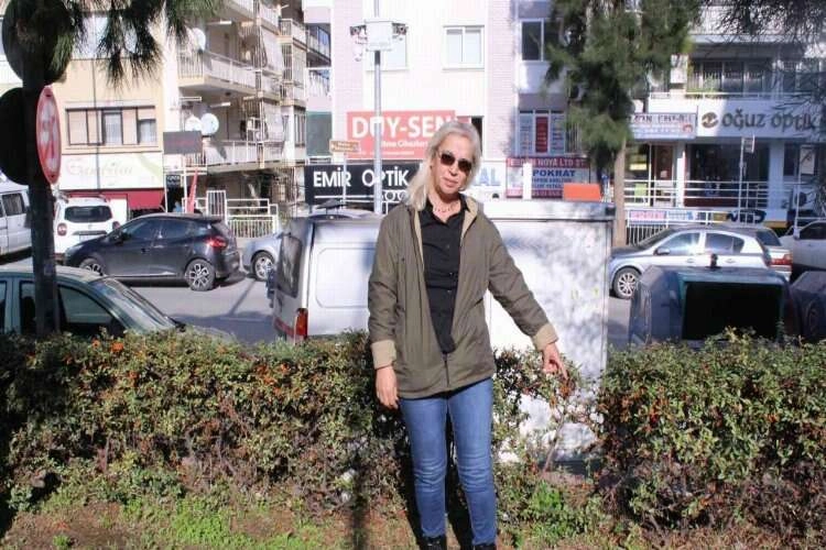 Başına ağaç düştü, tazminat kazandı haberinin görseli