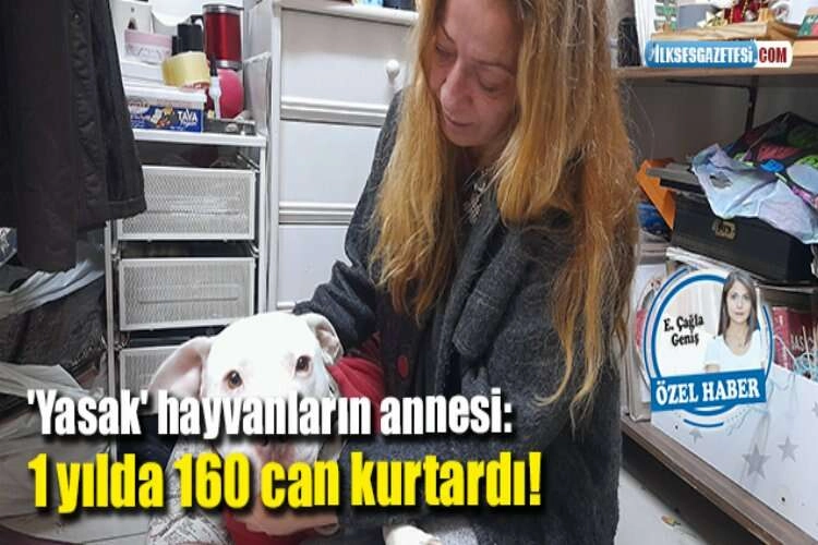 'Yasak' hayvanların annesi: 1 yılda 160 can kurtardı! haberinin görseli