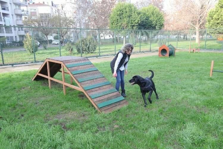 Bayraklı’da evcil hayvanlar için ‘Pati Park’ haberinin görseli