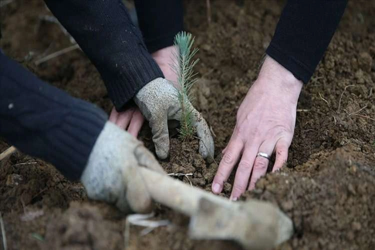 Tarım ve Orman Bakanlığı 1613 personel istihdam edecek haberinin görseli