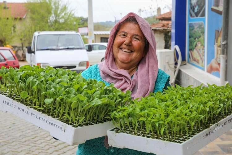 Buca’da belediye-kooperatif iş birliği tarımı canlandırdı haberinin görseli