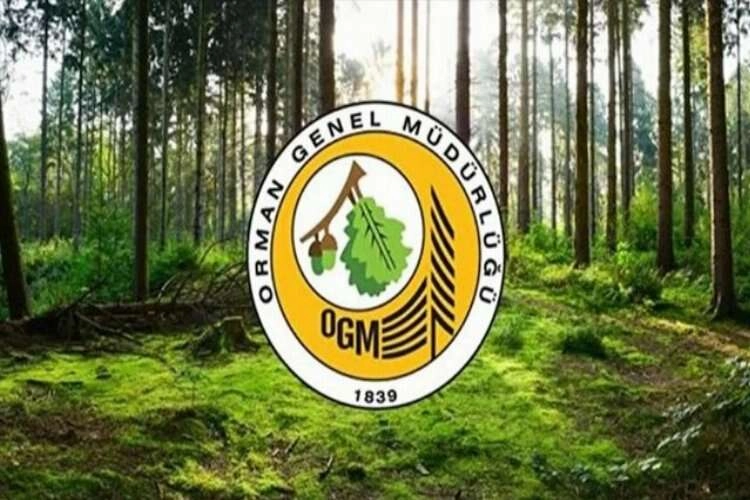 Orman Genel Müdürlüğü 249 Orman Mühendisi alacak haberinin görseli