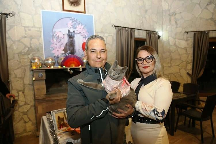 Ayvalık’ta şanslı kedi Gümüş’e 5. doğum günü partisi haberinin görseli