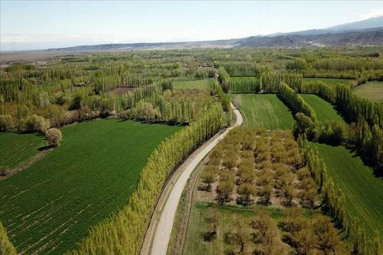 Hazine'ye ait 2/B ve tarım arazileri satışında başvurular 31 Aralık'ta sona erecek haberinin görseli
