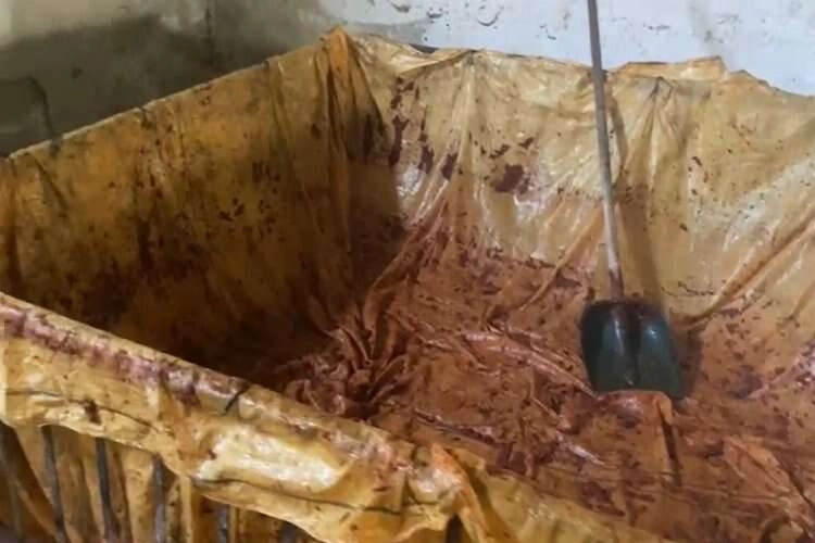 Yine Kemalpaşa, yine aynı işletmeci, yine mide bulandıran görüntüler haberinin görseli