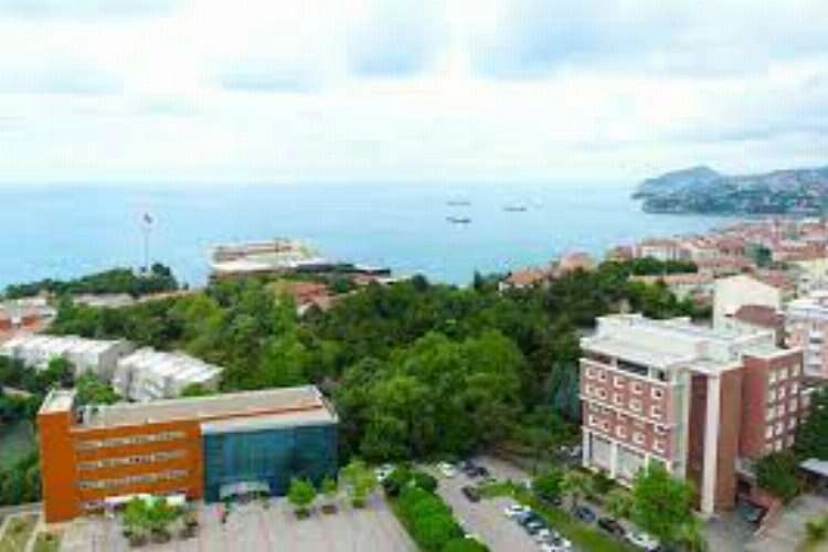Zonguldak Bülent Ecevit Üniversitesi Öğretim Üyesi alacak haberinin görseli