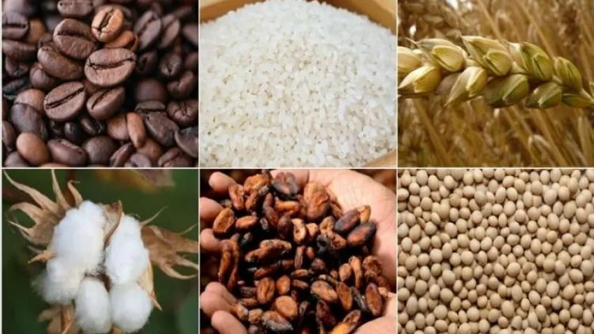 Emtia piyasası sert dalgalanmaların olduğu bir yılı geride bıraktı haberinin görseli