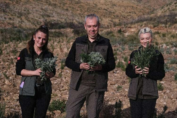 Gerence'den yanık kokusu yerine adaçayı ve kekik kokuları geliyor haberinin görseli